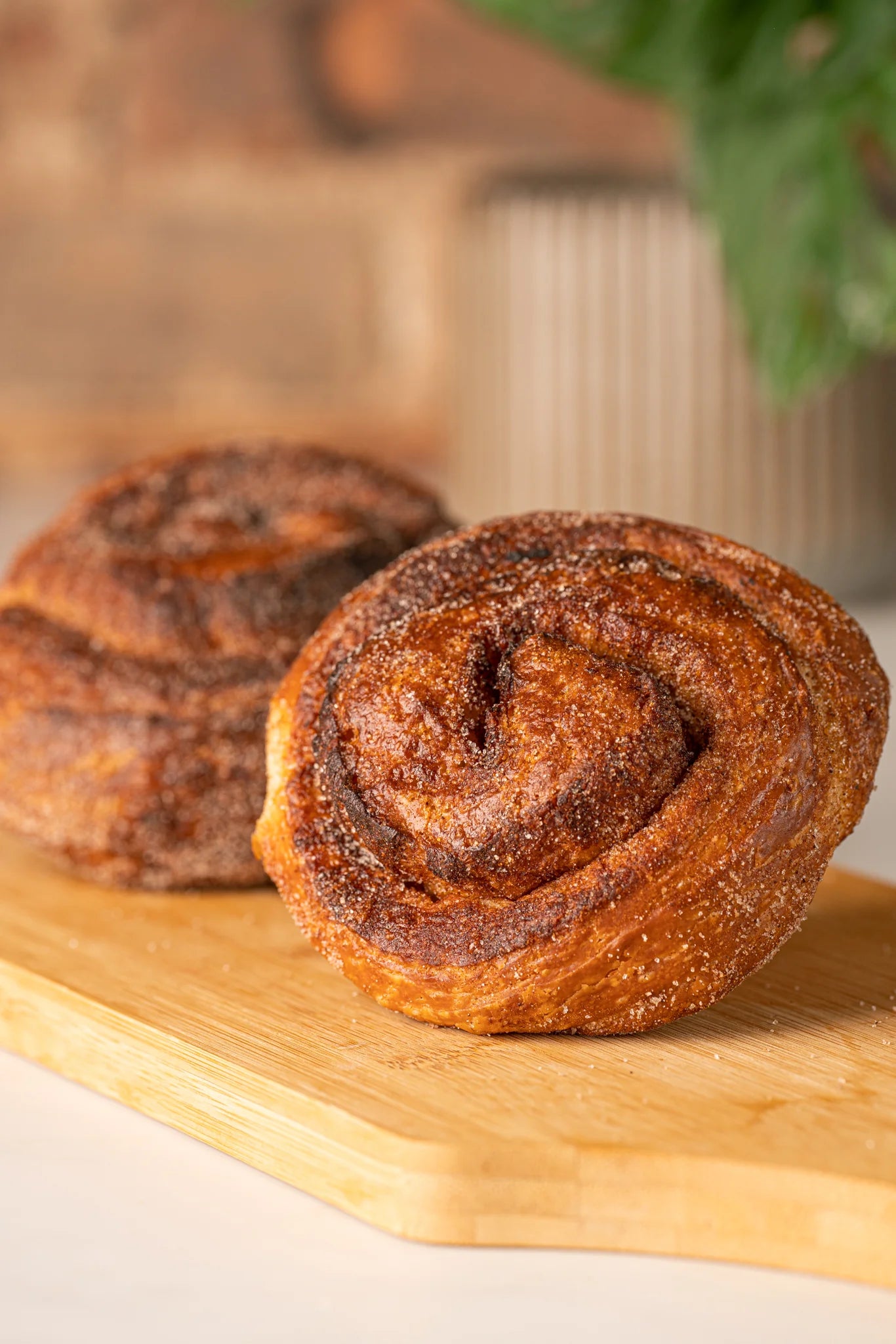 Morning Buns